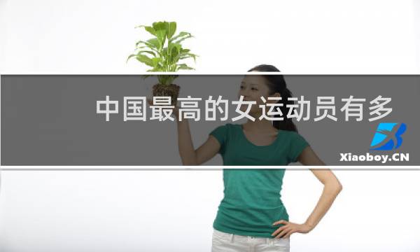 中国最高的女运动员有多高图片