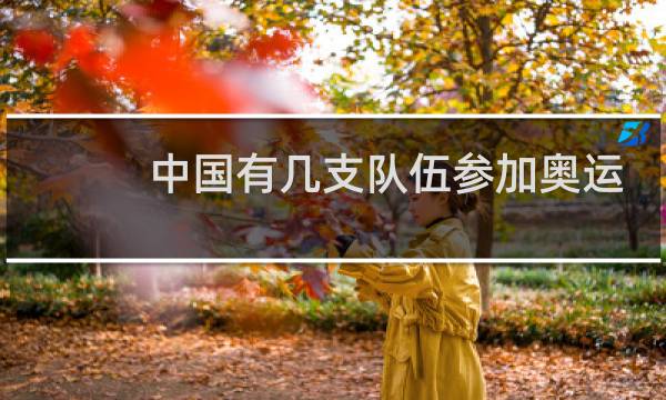 中国有几支队伍参加奥运会图片