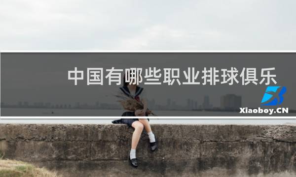 中国有哪些职业排球俱乐部图片