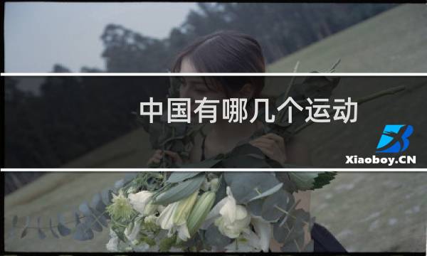 中国有哪几个运动图片