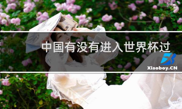 中国有没有进入世界杯过图片
