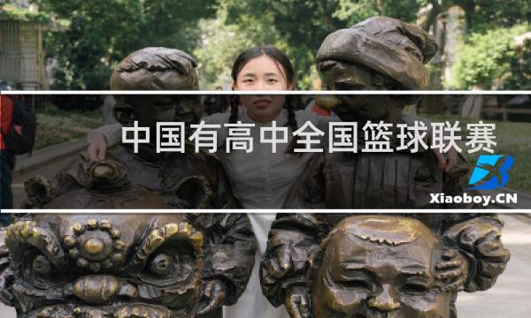 中国有高中全国篮球联赛吗图片