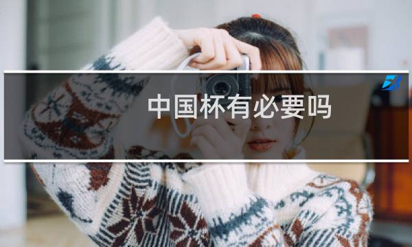 中国杯有必要吗图片
