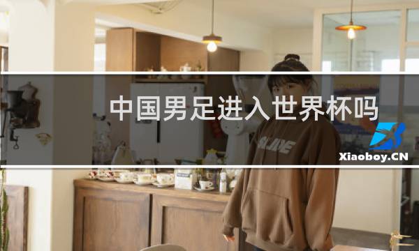 中国男足进入世界杯吗图片