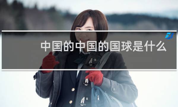 中国的中国的国球是什么图片