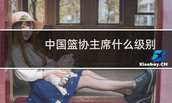 中国篮协主席什么级别图片