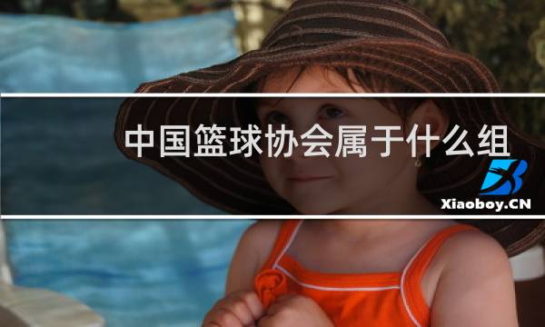 中国篮球协会属于什么组织图片
