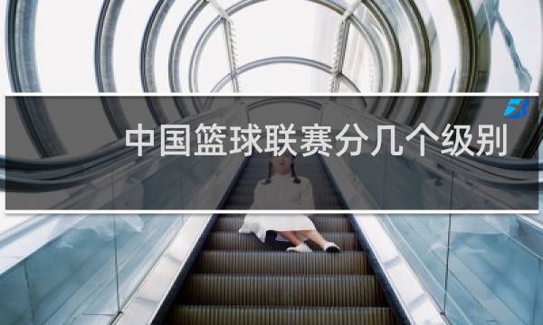 中国篮球联赛分几个级别图片