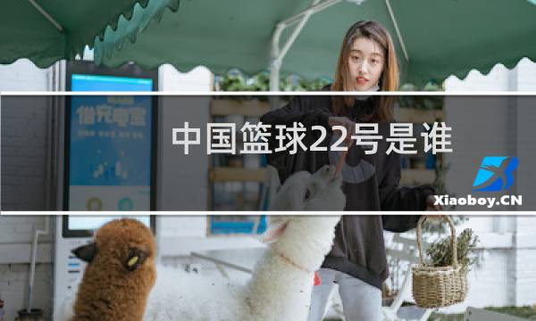 中国篮球22号是谁图片
