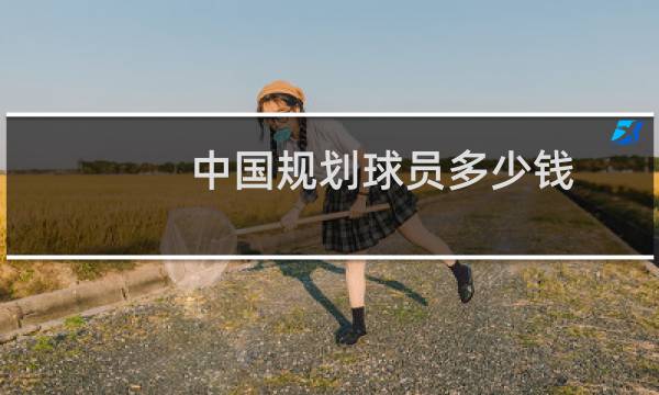 中国规划球员多少钱图片