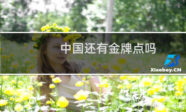 中国还有金牌点吗图片