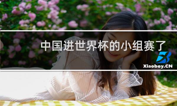 中国进世界杯的小组赛了吗图片