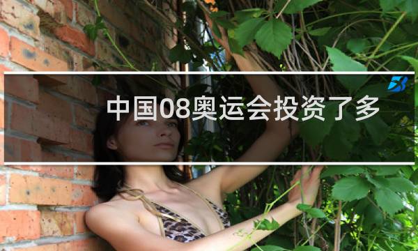 中国08奥运会投资了多少图片