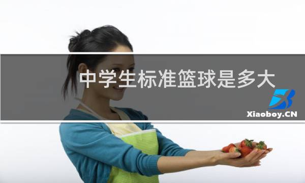 中学生标准篮球是多大图片