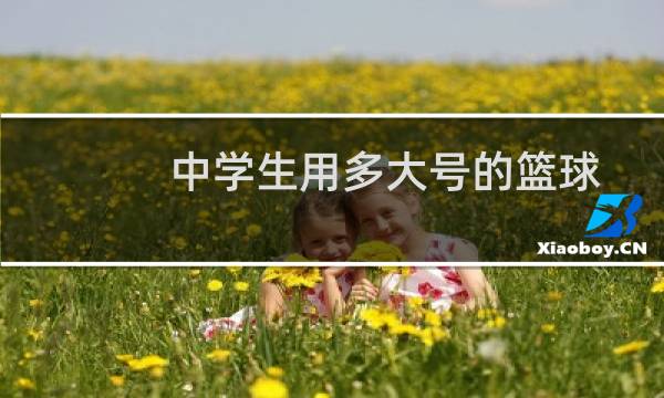 中学生用多大号的篮球图片