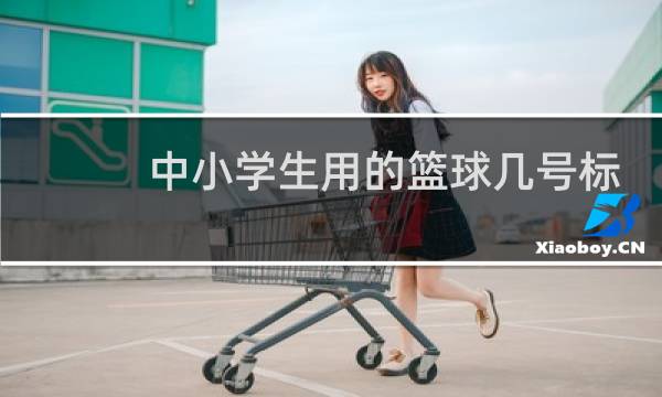 中小学生用的篮球几号标准图片