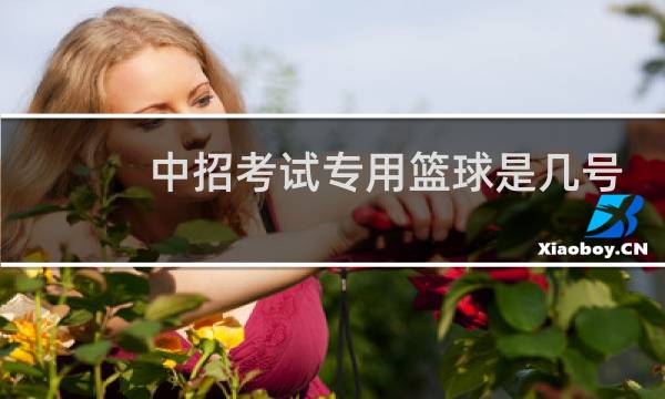 中招考试专用篮球是几号球图片