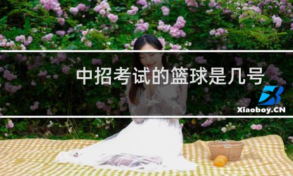 中招考试的篮球是几号图片