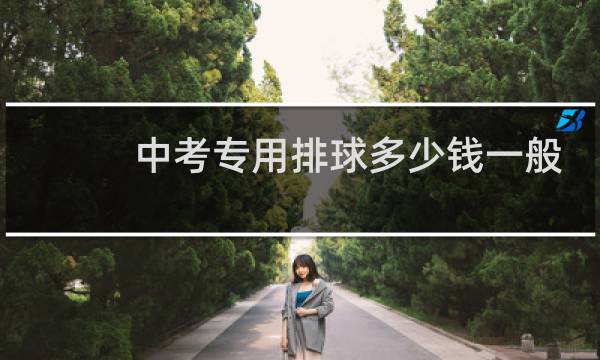 中考专用排球多少钱一般图片