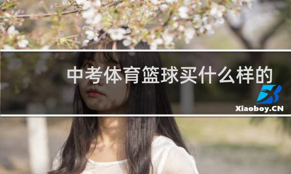 中考体育篮球买什么样的好图片