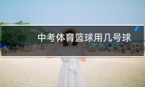 中考体育篮球用几号球图片