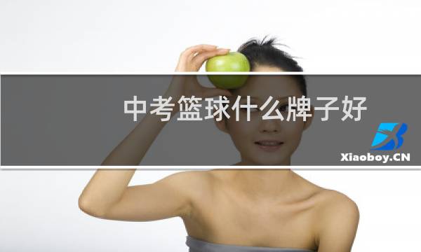 中考篮球什么牌子好图片