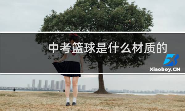 中考篮球是什么材质的图片