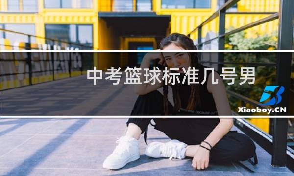 中考篮球标准几号男图片