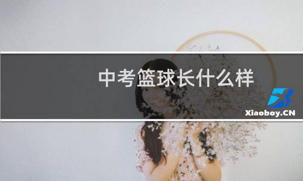 中考篮球长什么样图片