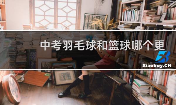 中考羽毛球和篮球哪个更容易过图片