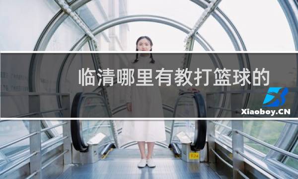 临清哪里有教打篮球的图片