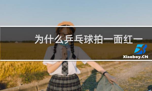 为什么乒乓球拍一面红一面黑图片