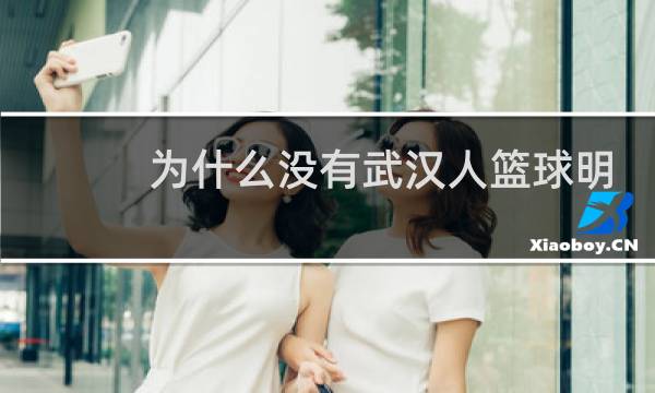 为什么没有武汉人篮球明星图片