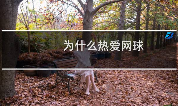 为什么热爱网球图片