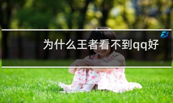为什么王者看不到qq好友图片