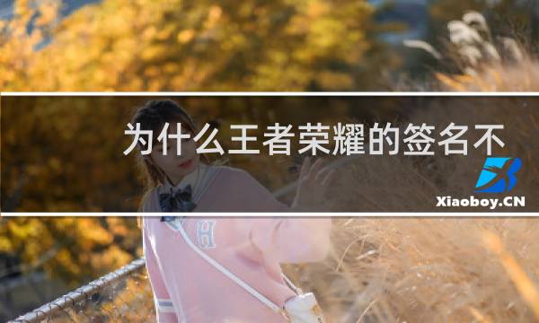 为什么王者荣耀的签名不显示出来图片