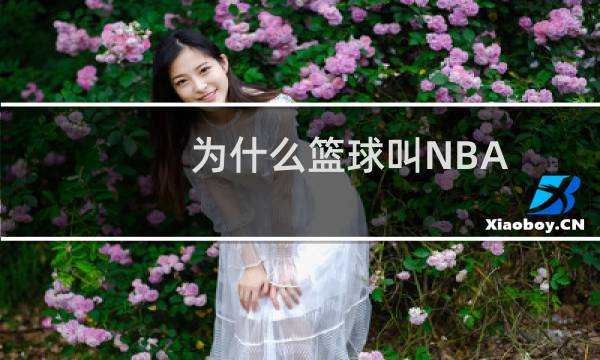 为什么篮球叫NBA图片