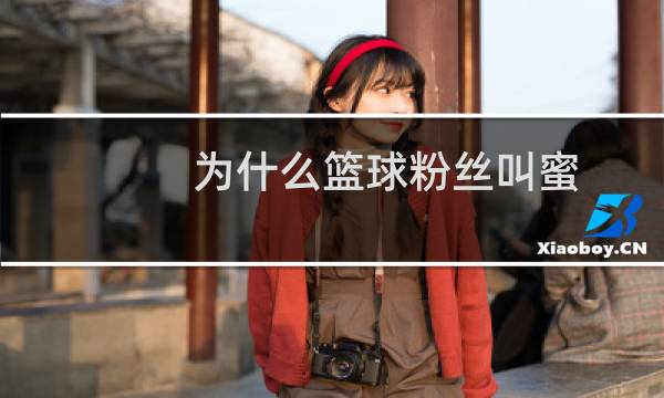 为什么篮球粉丝叫蜜图片