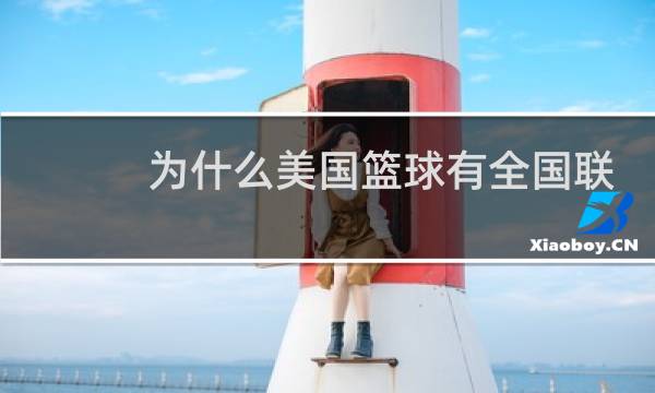 为什么美国篮球有全国联赛图片