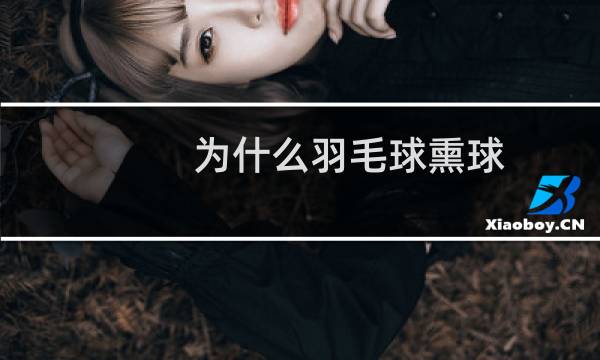 为什么羽毛球熏球图片