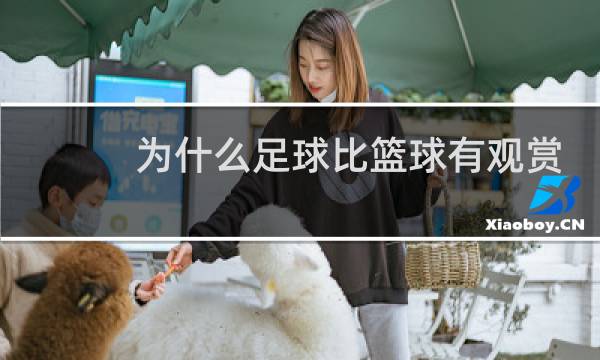 为什么足球比篮球有观赏性图片