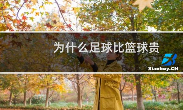 为什么足球比篮球贵图片