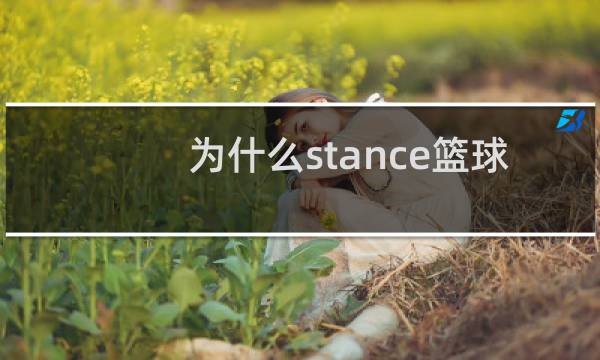 为什么stance篮球袜这么贵图片