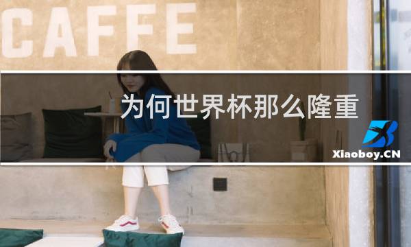 为何世界杯那么隆重图片
