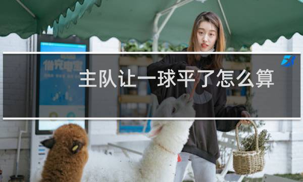 主队让一球平了怎么算图片