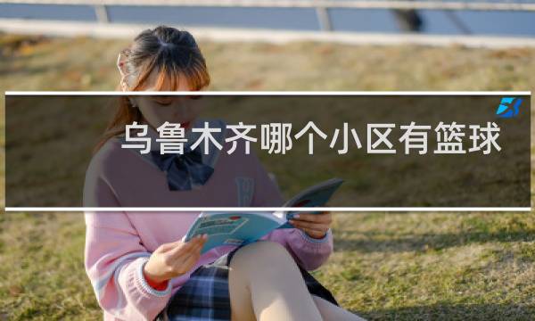 乌鲁木齐哪个小区有篮球场图片