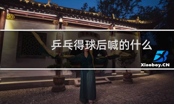乒乓得球后喊的什么图片