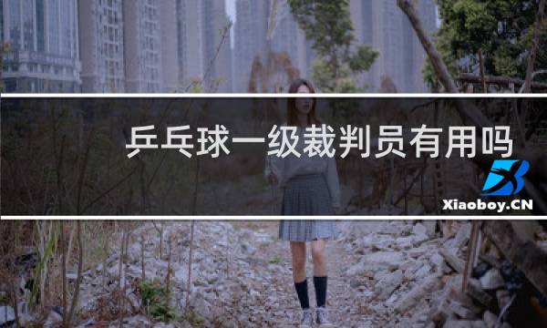 乒乓球一级裁判员有用吗图片