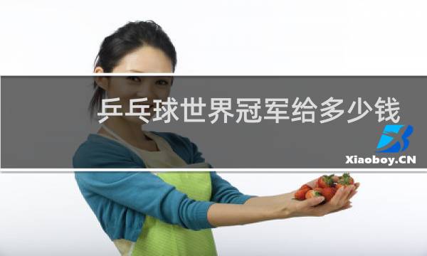 乒乓球世界冠军给多少钱图片
