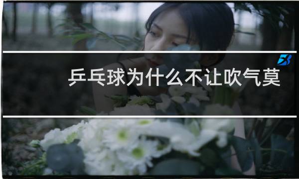 乒乓球为什么不让吹气莫泰图片